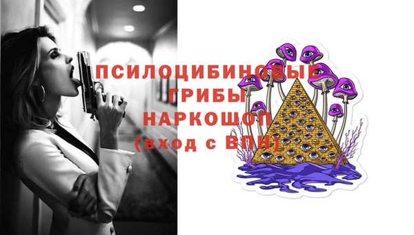 альфа пвп Заводоуковск