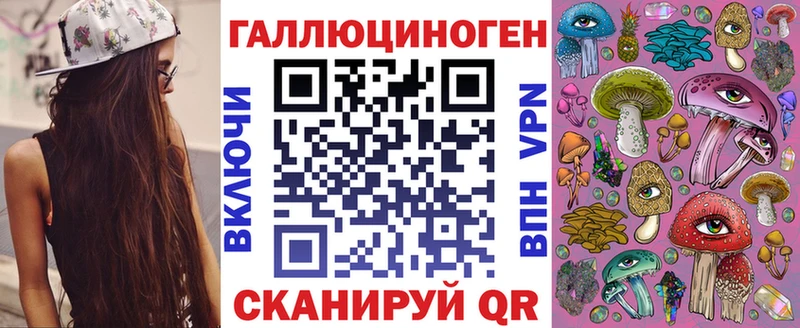 Купить  Белая Холуница  Псилоцибиновые грибы GOLDEN TEACHER 